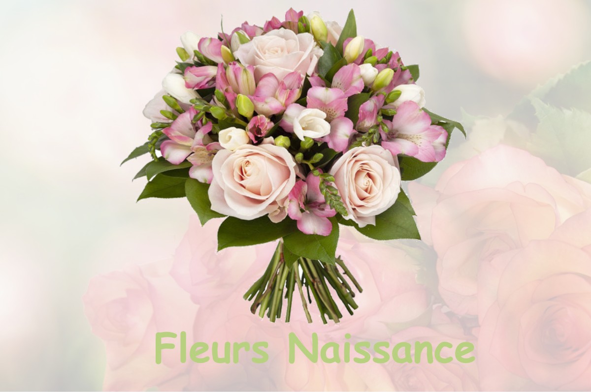 fleurs naissance CHAMPIER