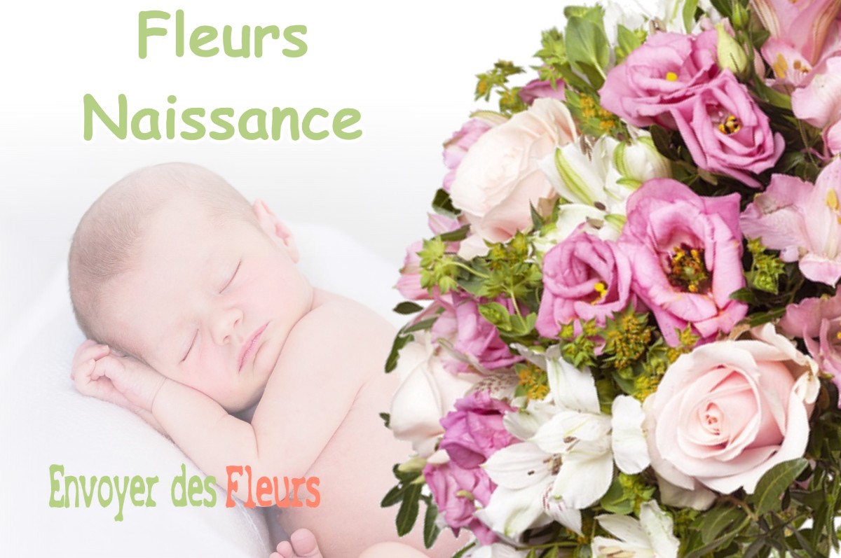 lIVRAISON FLEURS NAISSANCE à CHAMPIER